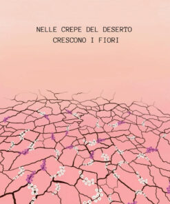 Nelle crepe del deserto crescono i fiori, uno splendido disegno che rappresenta perfettamente il libro