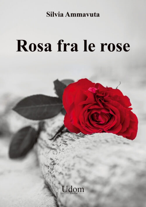 ROSA FRA LE ROSE